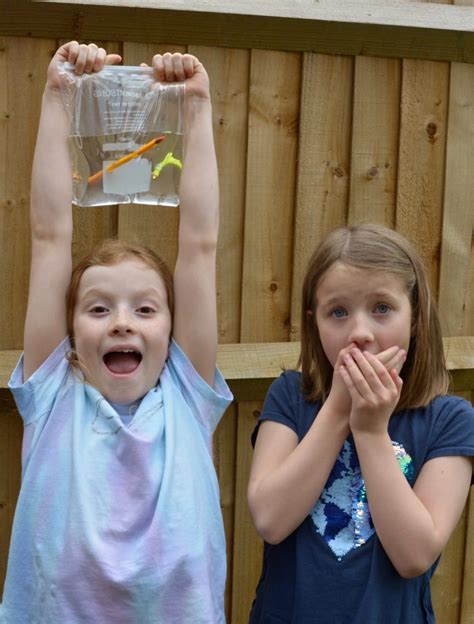 Leak Proof Bag: Quick Science Experiment for Kids